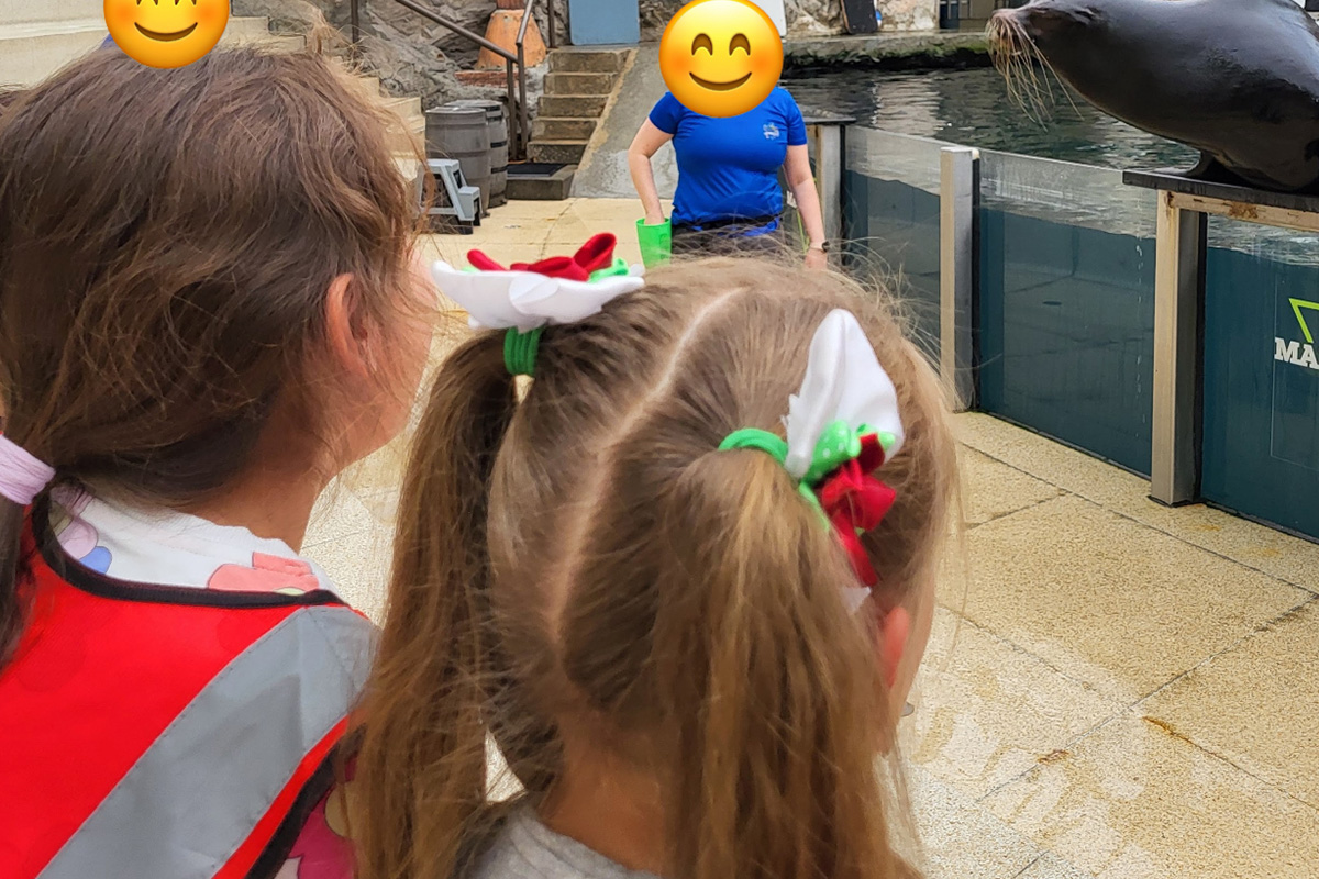 Kinder Gallery 1